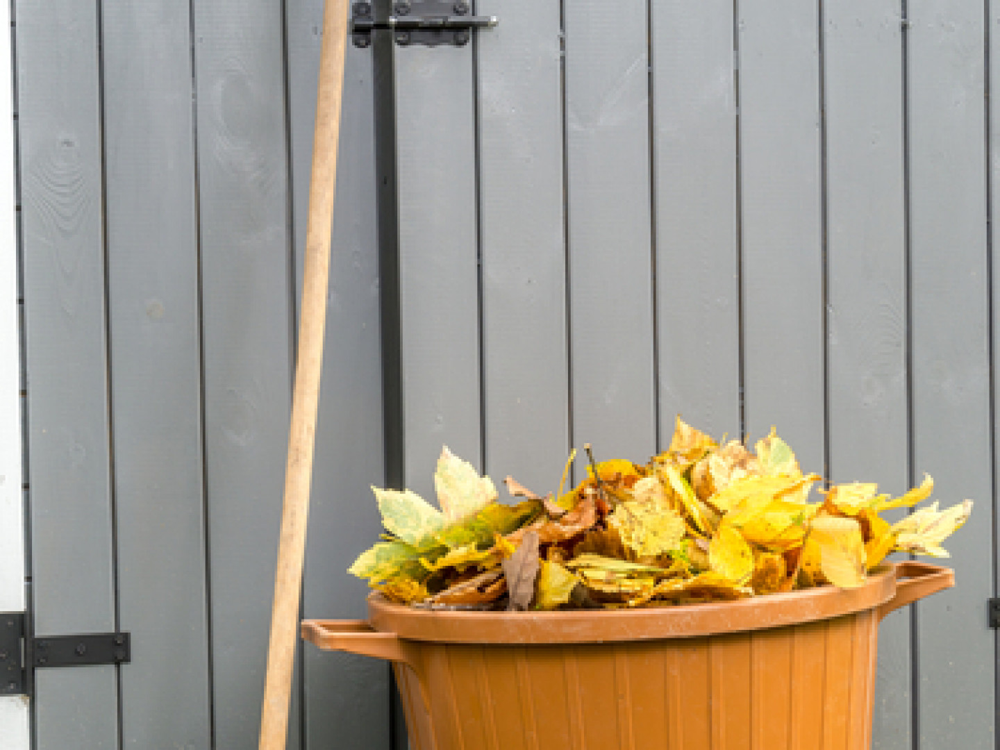 SPRING CLEAN-UP | Marino's Lawn Care